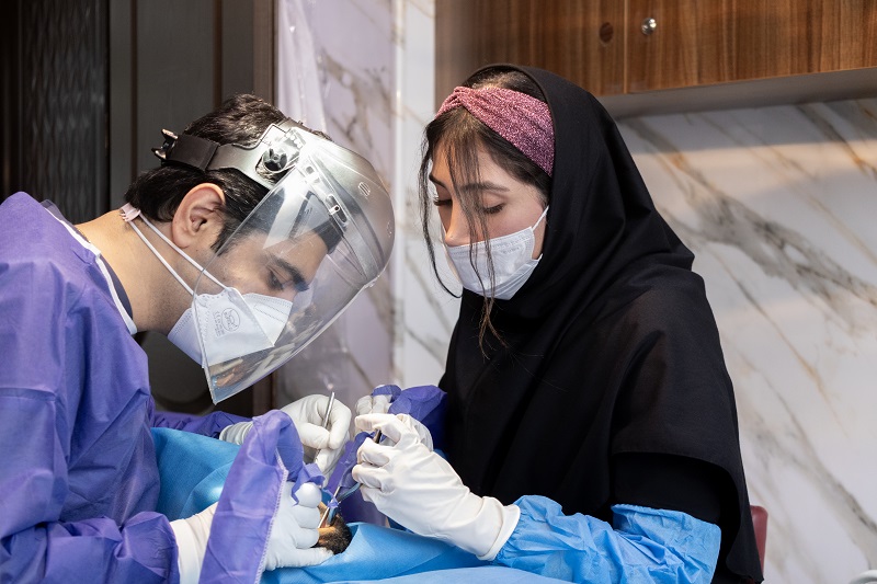 دکتر عارف متخصص ایمپلنت دندان در کرج